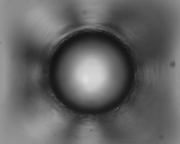 X0000113860822200910221439