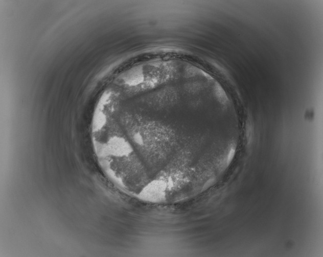 X0000113860823200910221439