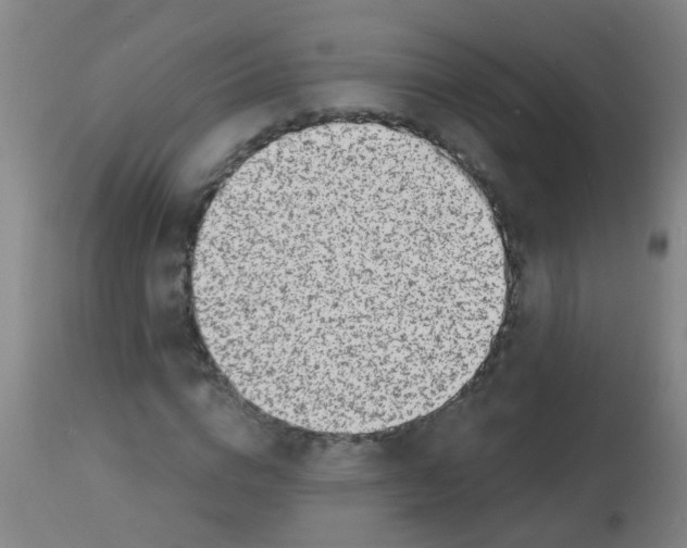 X0000113860824200910221439