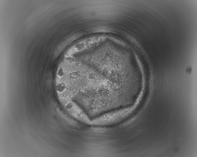 X0000113860825200910221439