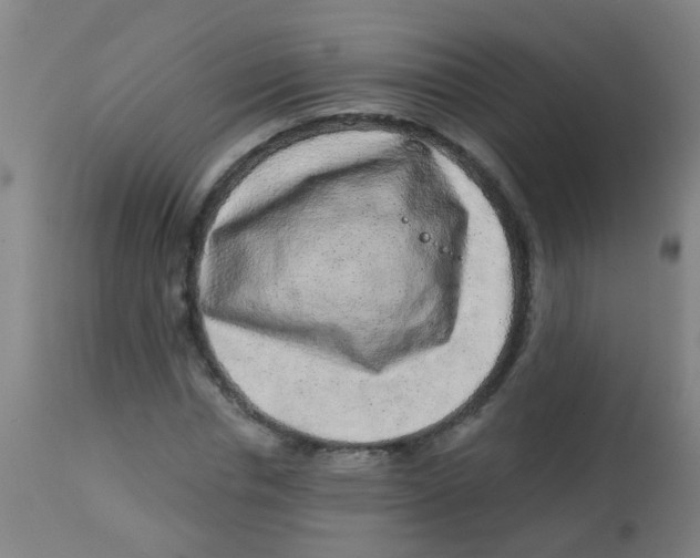 X0000113860826200910221439