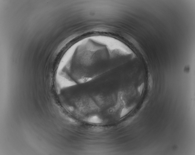X0000113860829200910221439