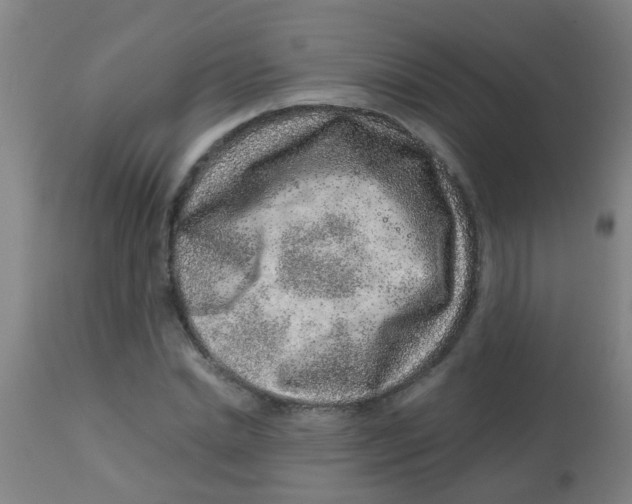 X0000113860830200910221439