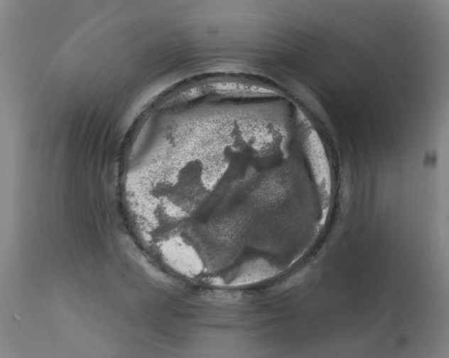 X0000113860831200910221439
