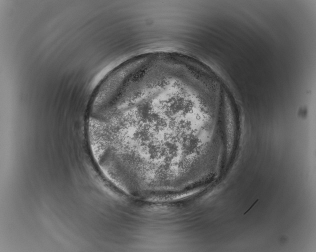 X0000113860834200910221439