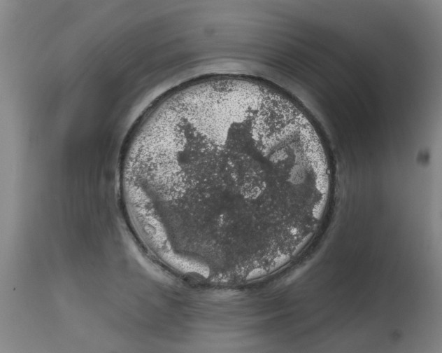 X0000113860837200910221439