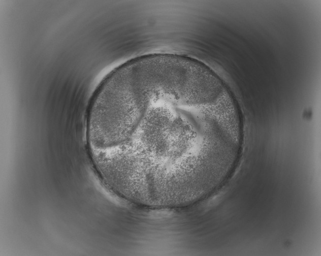 X0000113860838200910221439