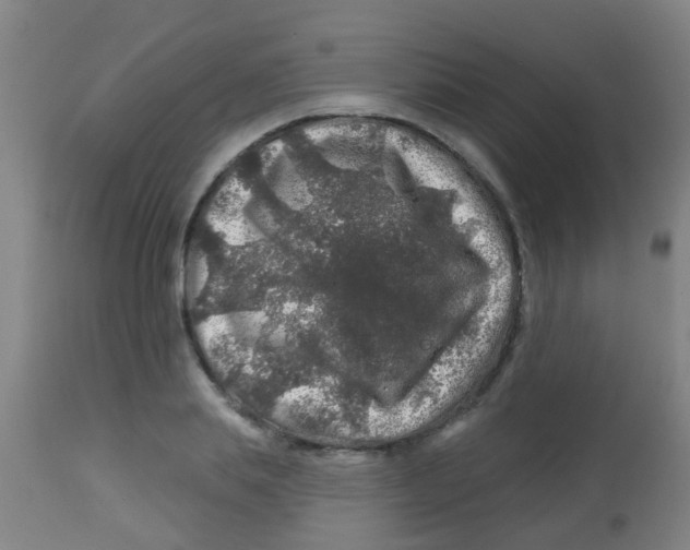 X0000113860839200910221439