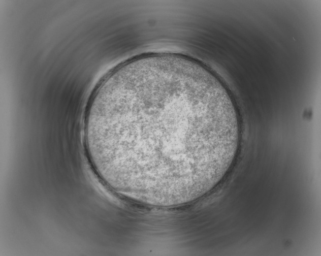 X0000113860840200910221439