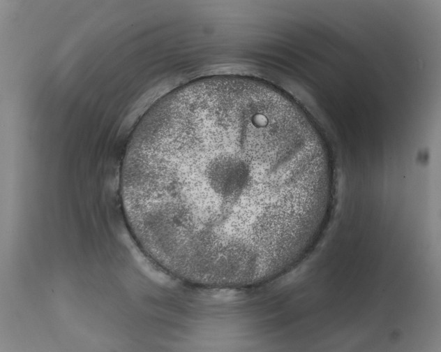X0000113860841200910221439