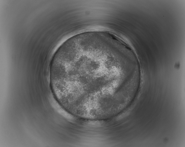 X0000113860843200910221439