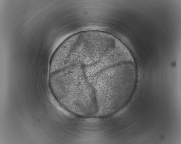 X0000113860844200910221439