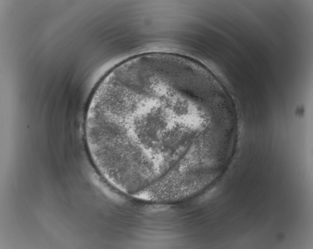 X0000113860846200910221439
