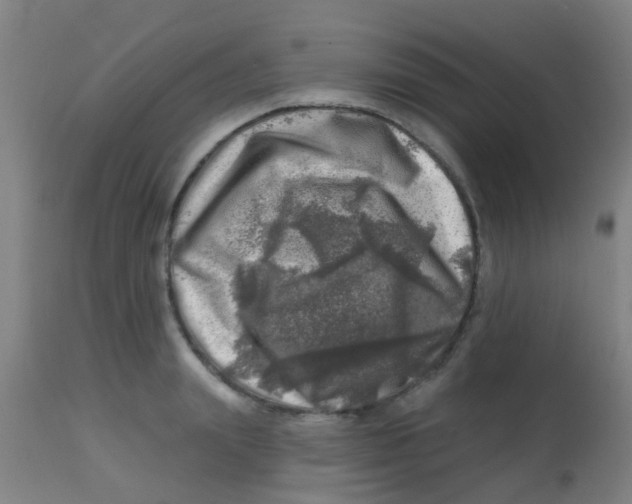 X0000113860847200910221440