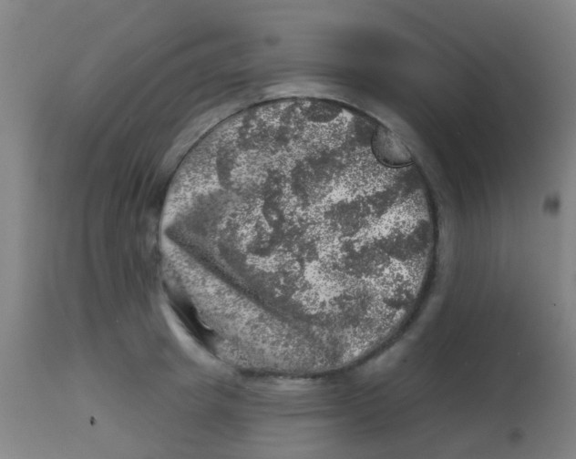 X0000113860849200910221440
