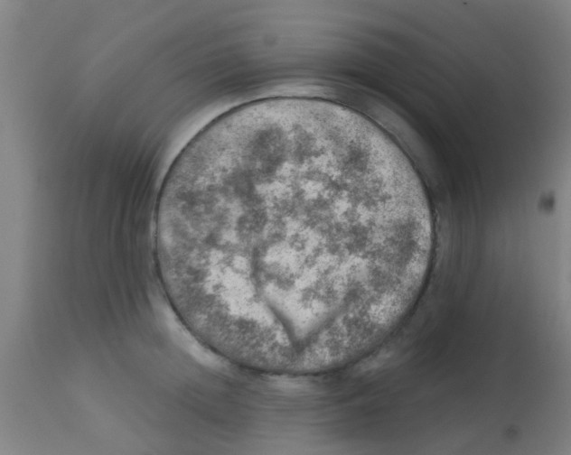 X0000113860852200910221440