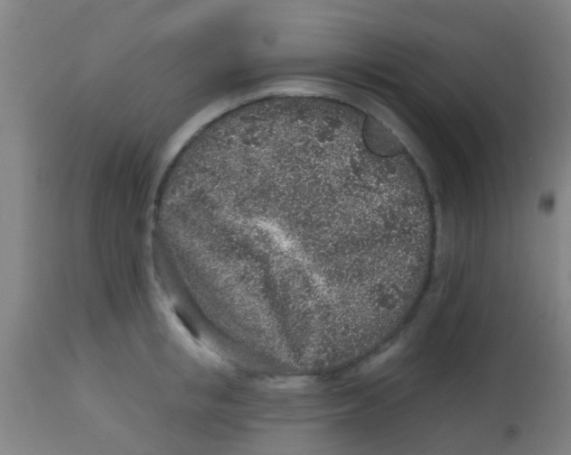 X0000113860853200910221440