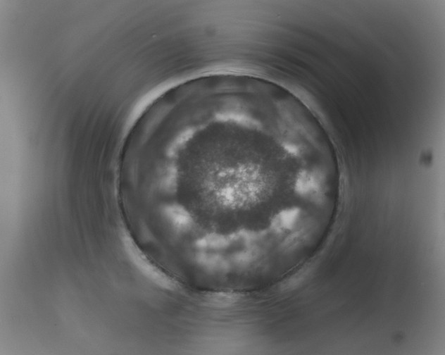 X0000113860854200910221440