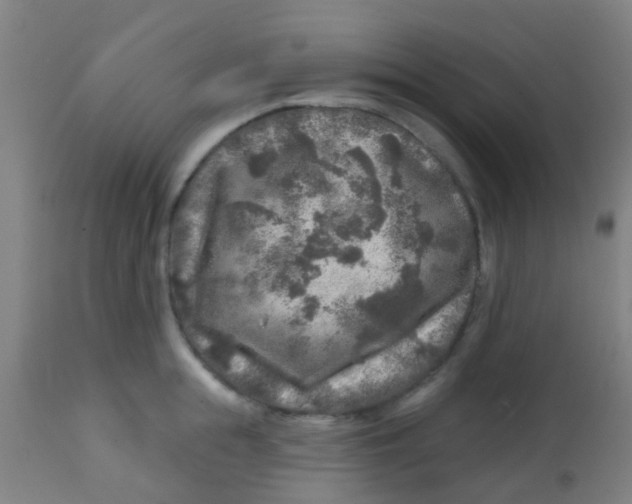 X0000113860855200910221440