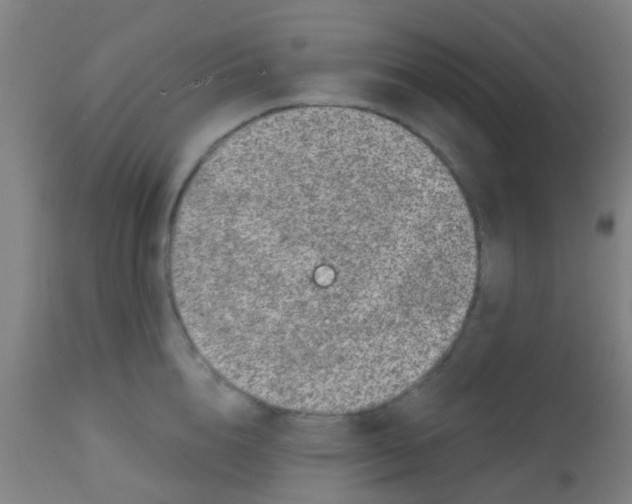 X0000113860856200910221440