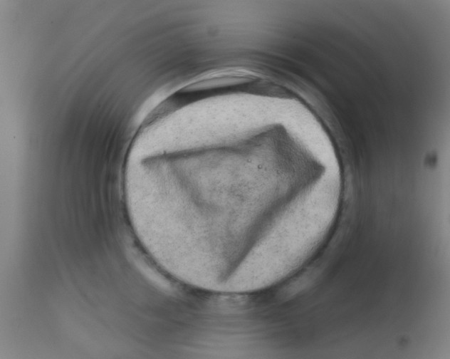 X0000113860858200910221440