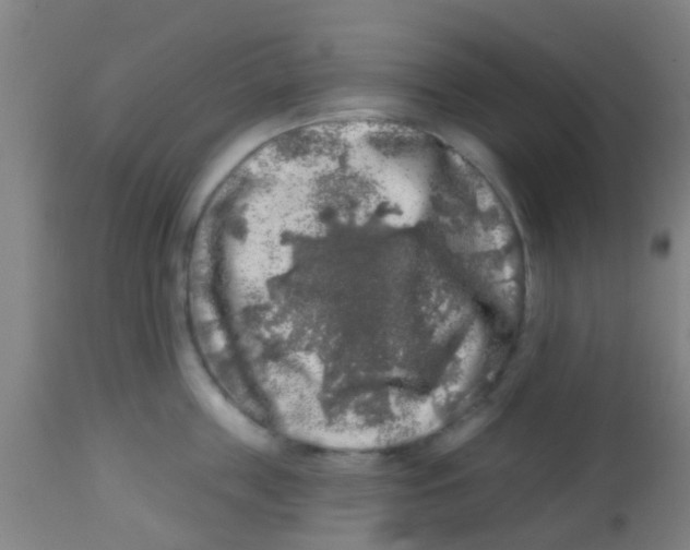 X0000113860859200910221440