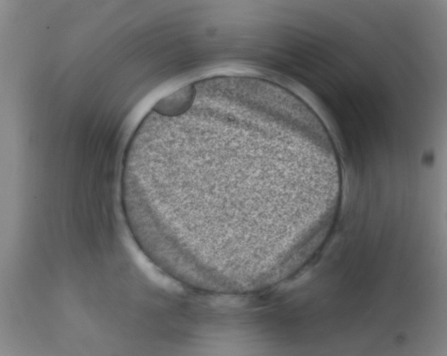 X0000113860861200910221440