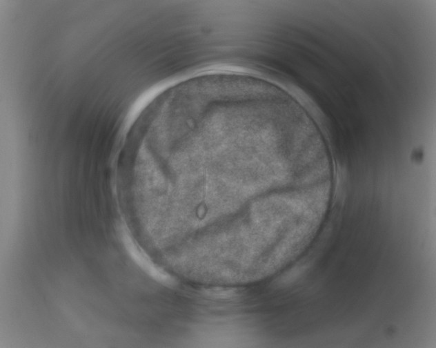 X0000113860862200910221440