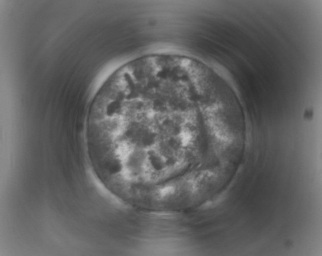 X0000113860863200910221440