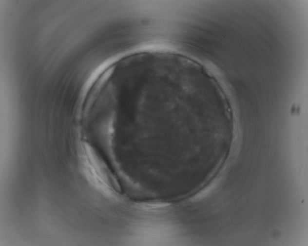 X0000113860864200910221440
