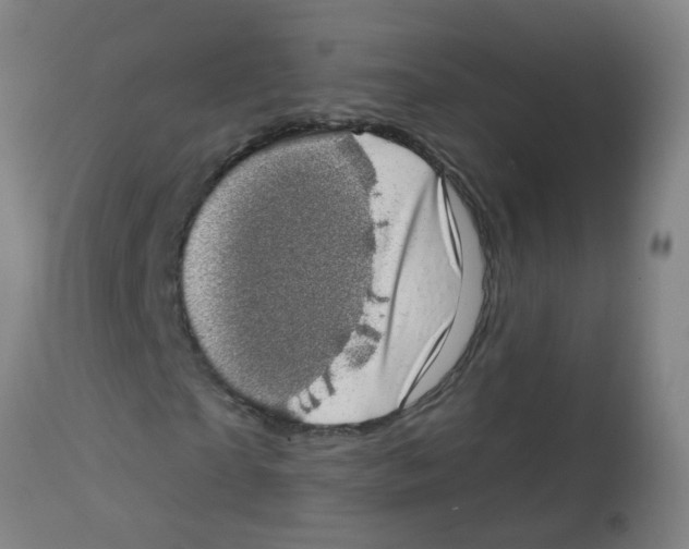 X0000113860865200910221439