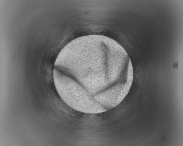 X0000113860866200910221439