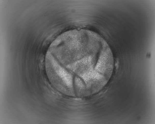 X0000113860867200910221439