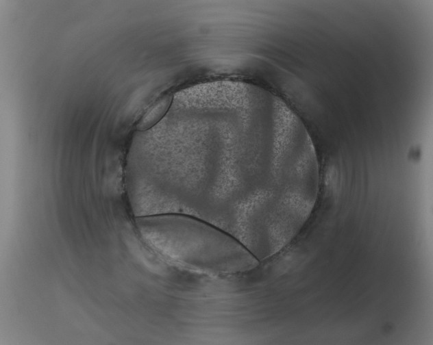 X0000113860868200910221439