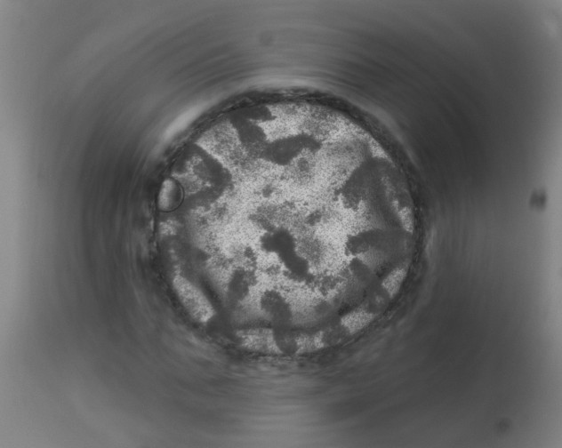 X0000113860871200910221439