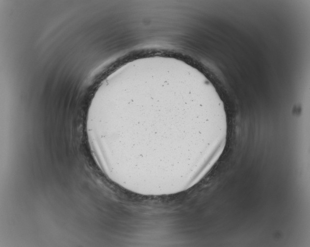 X0000113860872200910221439