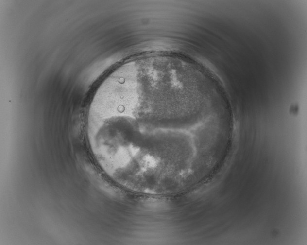 X0000113860874200910221439