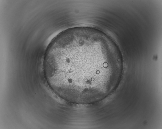 X0000113860875200910221439
