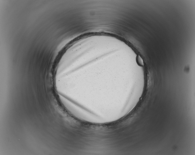 X0000113860876200910221439