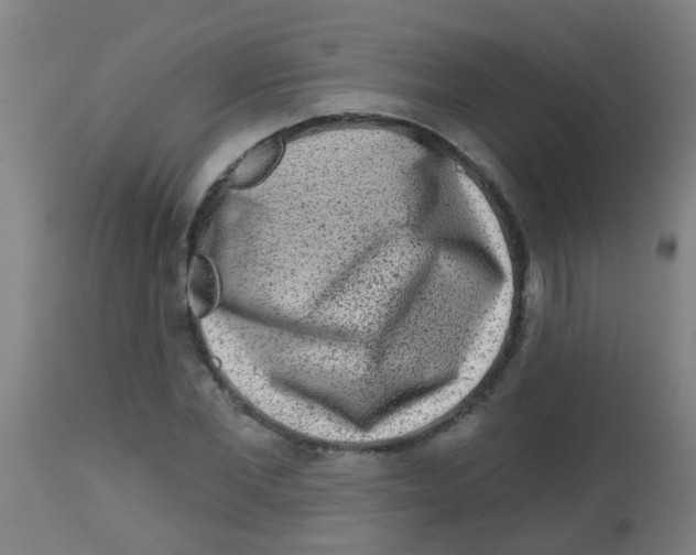 X0000113860877200910221439