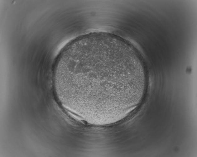 X0000113860878200910221439
