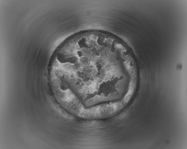 X0000113860879200910221439