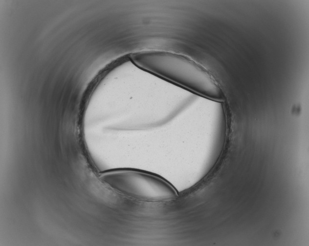 X0000113860880200910221439