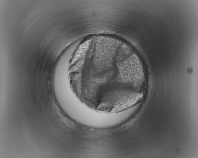 X0000113860881200910221439
