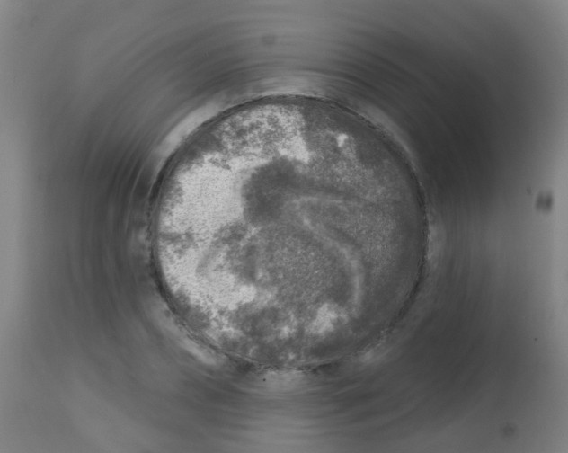 X0000113860882200910221439