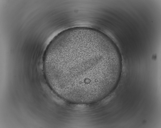 X0000113860883200910221439