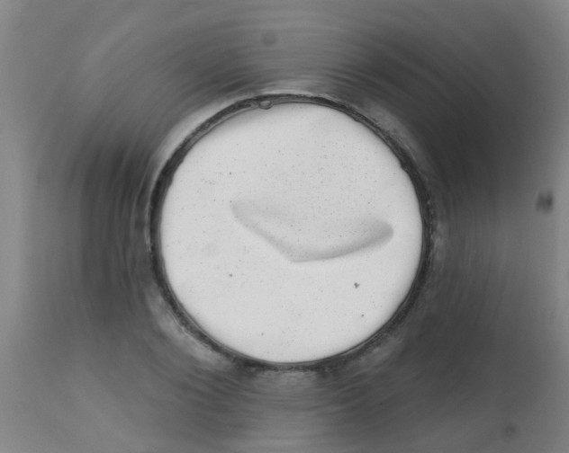 X0000113860884200910221439