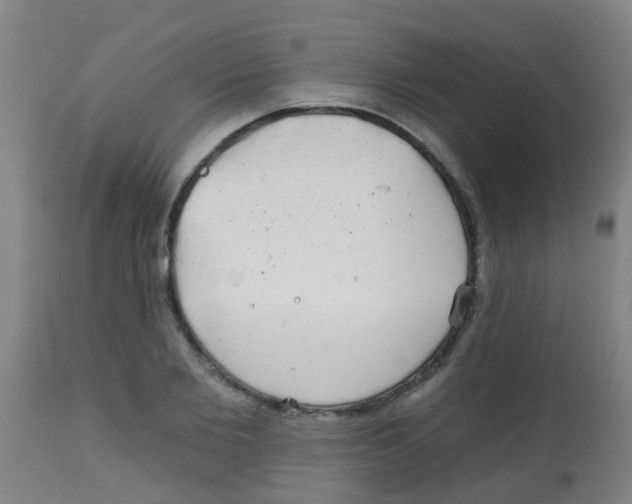 X0000113860885200910221439