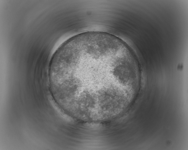 X0000113860886200910221439