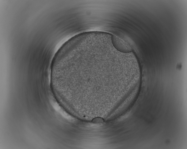X0000113860892200910221439